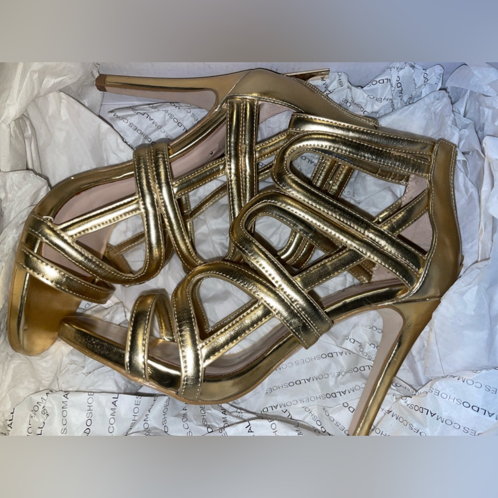 CARMINATI Heels | ALDO ✨